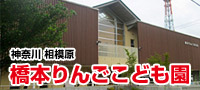橋本りんごこども園